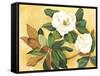 Southern Magnolia I-Kris Taylor-Framed Stretched Canvas