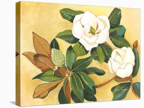 Southern Magnolia I-Kris Taylor-Stretched Canvas