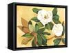 Southern Magnolia I-Kris Taylor-Framed Stretched Canvas