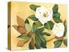 Southern Magnolia I-Kris Taylor-Stretched Canvas