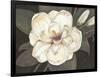 Southern Magnolia-Filippo Ioco-Framed Art Print