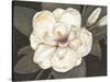 Southern Magnolia-Filippo Ioco-Stretched Canvas