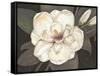 Southern Magnolia-Filippo Ioco-Framed Stretched Canvas