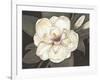 Southern Magnolia-Filippo Ioco-Framed Art Print