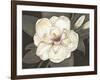 Southern Magnolia-Filippo Ioco-Framed Art Print