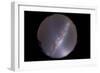 Southern Milky Way with Zodiacal Light Prominent in the East-null-Framed Photographic Print