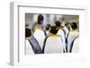 Southern Ocean, South Georgia. Portrait of a king penguin among other adults.-Ellen Goff-Framed Photographic Print