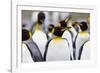 Southern Ocean, South Georgia. Portrait of a king penguin among other adults.-Ellen Goff-Framed Photographic Print