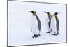 Southern Ocean, South Georgia. Portrait of king penguins in the snow.-Ellen Goff-Mounted Photographic Print