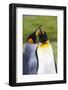 Southern Ocean, South Georgia. Portrait of two courting king penguins.-Ellen Goff-Framed Photographic Print