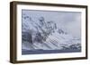 Southern Ocean, South Georgia, Salisbury Plain, Snowy peaks surround Salisbury Plain.-Ellen Goff-Framed Photographic Print