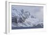 Southern Ocean, South Georgia, Salisbury Plain, Snowy peaks surround Salisbury Plain.-Ellen Goff-Framed Photographic Print