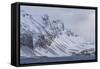 Southern Ocean, South Georgia, Salisbury Plain, Snowy peaks surround Salisbury Plain.-Ellen Goff-Framed Stretched Canvas