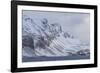 Southern Ocean, South Georgia, Salisbury Plain, Snowy peaks surround Salisbury Plain.-Ellen Goff-Framed Photographic Print