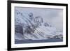 Southern Ocean, South Georgia, Salisbury Plain, Snowy peaks surround Salisbury Plain.-Ellen Goff-Framed Photographic Print