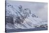 Southern Ocean, South Georgia, Salisbury Plain, Snowy peaks surround Salisbury Plain.-Ellen Goff-Stretched Canvas