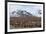 Southern Ocean, South Georgia, Salisbury Plain. View of the colony at Salisbury Plain.-Ellen Goff-Framed Photographic Print