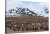 Southern Ocean, South Georgia, Salisbury Plain. View of the colony at Salisbury Plain.-Ellen Goff-Stretched Canvas