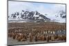 Southern Ocean, South Georgia, Salisbury Plain. View of the colony at Salisbury Plain.-Ellen Goff-Mounted Photographic Print