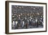 Southern Ocean, South Georgia, St. Andrew's Bay.-Ellen Goff-Framed Photographic Print