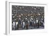 Southern Ocean, South Georgia, St. Andrew's Bay.-Ellen Goff-Framed Photographic Print