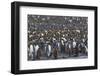 Southern Ocean, South Georgia, St. Andrew's Bay.-Ellen Goff-Framed Photographic Print