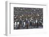 Southern Ocean, South Georgia, St. Andrew's Bay.-Ellen Goff-Framed Photographic Print