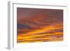 Southern Ocean, South Georgia. Sunset at South Georgia.-Ellen Goff-Framed Photographic Print