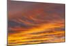 Southern Ocean, South Georgia. Sunset at South Georgia.-Ellen Goff-Mounted Photographic Print