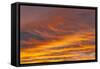 Southern Ocean, South Georgia. Sunset at South Georgia.-Ellen Goff-Framed Stretched Canvas