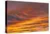 Southern Ocean, South Georgia. Sunset at South Georgia.-Ellen Goff-Stretched Canvas