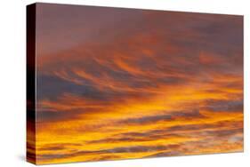 Southern Ocean, South Georgia. Sunset at South Georgia.-Ellen Goff-Stretched Canvas