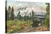 Southern Pacific Railroad and Mt. Shasta, California-null-Stretched Canvas