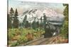 Southern Pacific Railroad and Mt. Shasta, California-null-Stretched Canvas