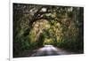 Southern Plantation Road-George Oze-Framed Photographic Print