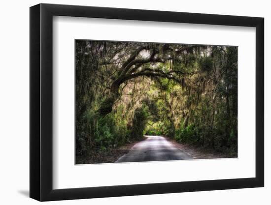 Southern Plantation Road-George Oze-Framed Photographic Print