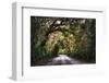 Southern Plantation Road-George Oze-Framed Photographic Print