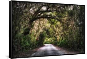 Southern Plantation Road-George Oze-Framed Stretched Canvas