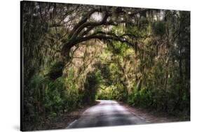 Southern Plantation Road-George Oze-Stretched Canvas