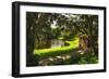 Southern Plantation Scenic, Charleston, SC-George Oze-Framed Photographic Print