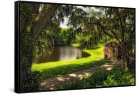 Southern Plantation Scenic, Charleston, SC-George Oze-Framed Stretched Canvas