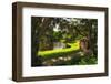 Southern Plantation Scenic, Charleston, SC-George Oze-Framed Photographic Print