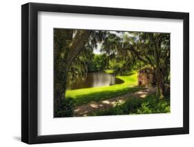 Southern Plantation Scenic, Charleston, SC-George Oze-Framed Photographic Print