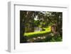 Southern Plantation Scenic, Charleston, SC-George Oze-Framed Photographic Print