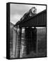 Southern Railway Train on Trestle Bridge. 210 Foot Tressel over the North Broad River, Georgia-Alfred Eisenstaedt-Framed Stretched Canvas