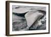 Southern Right Whale Fluke-James White-Framed Photographic Print