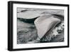 Southern Right Whale Fluke-James White-Framed Photographic Print