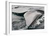 Southern Right Whale Fluke-James White-Framed Photographic Print