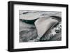 Southern Right Whale Fluke-James White-Framed Photographic Print