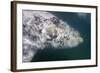 Southern Right Whale Off Peninsula Valdes, Patagonia-null-Framed Photographic Print